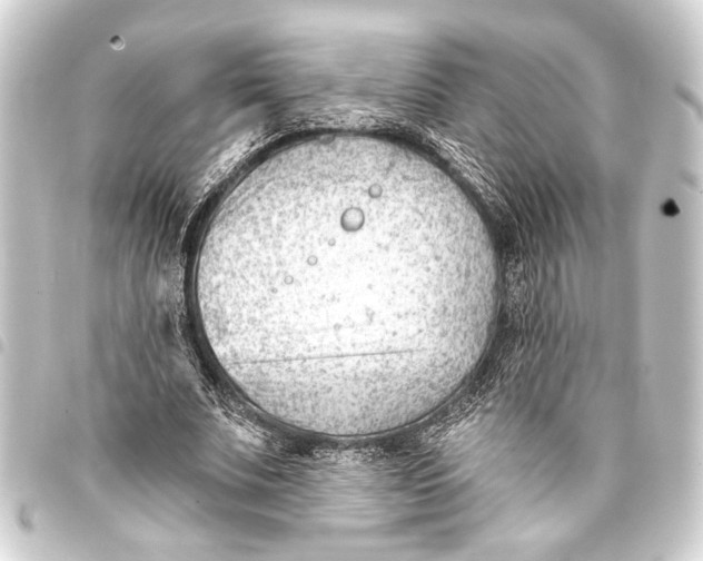 X0000093420679200711021015