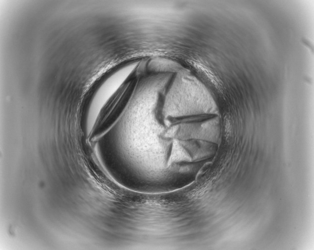 X0000093420684200711021015