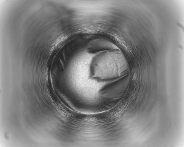 X0000093420685200711021015