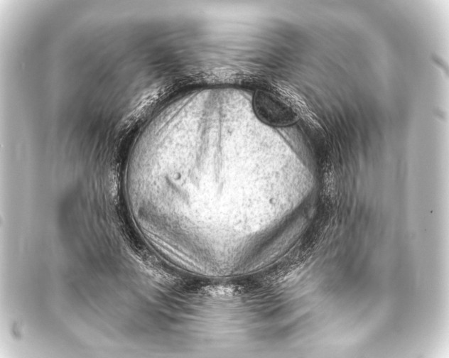 X0000093420687200711021015