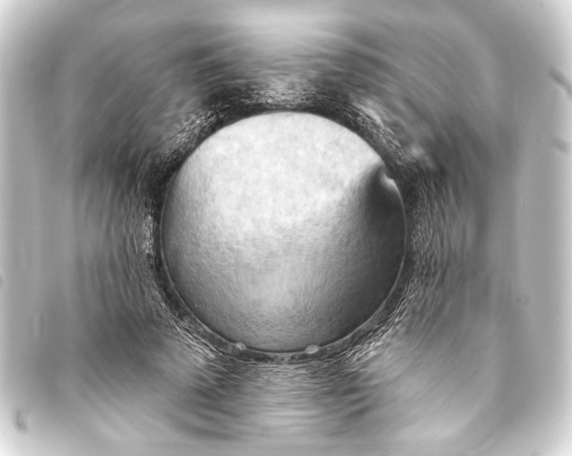 X0000093420689200711021015