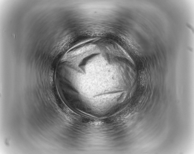 X0000093420695200711021015