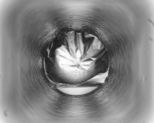 X0000093420697200711021015