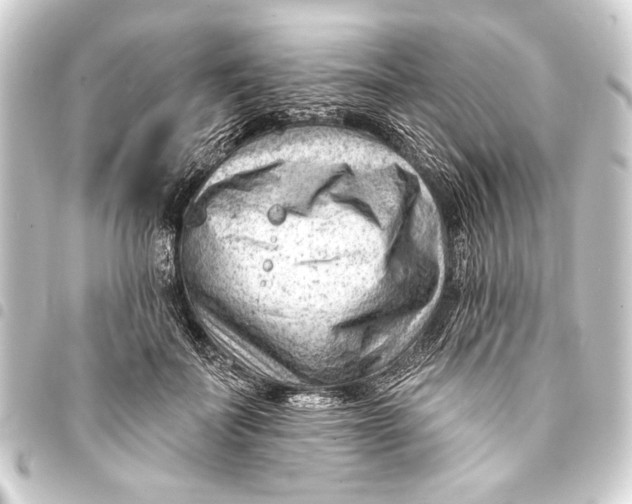 X0000093420699200711021015