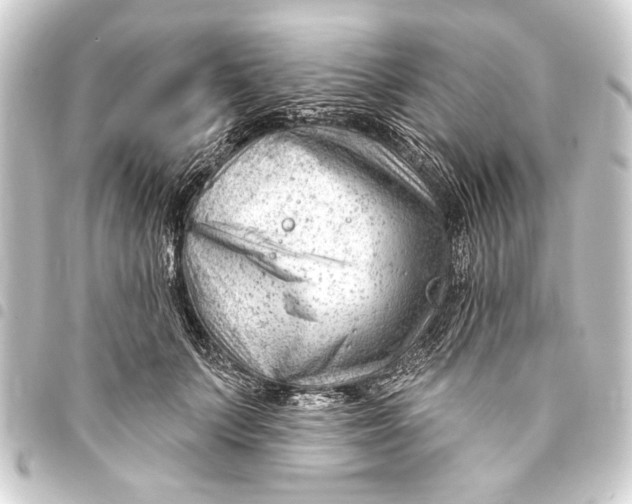 X0000093420703200711021015