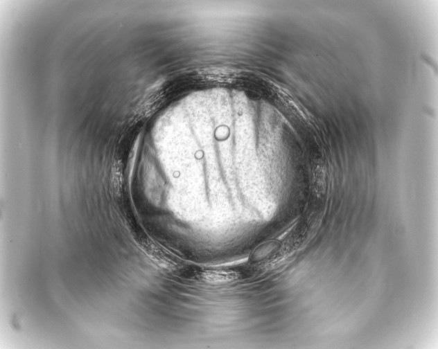 X0000093420707200711021015