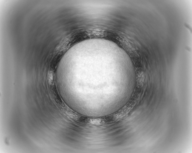 X0000093420709200711021015