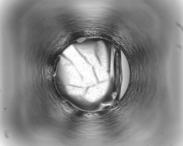 X0000093420712200711021015