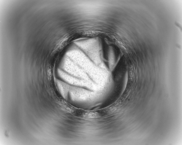 X0000093420716200711021015