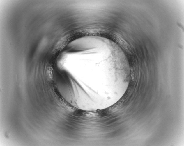 X0000093420718200711021015