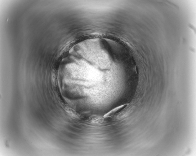 X0000093420720200711021015