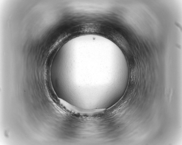 X0000093420722200711021014