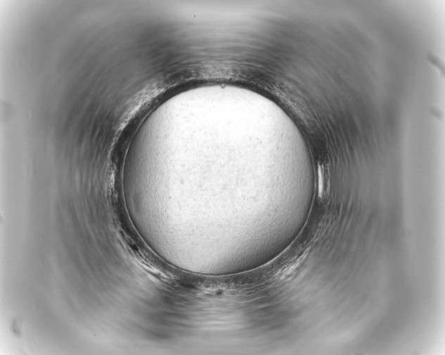 X0000093420723200711021014