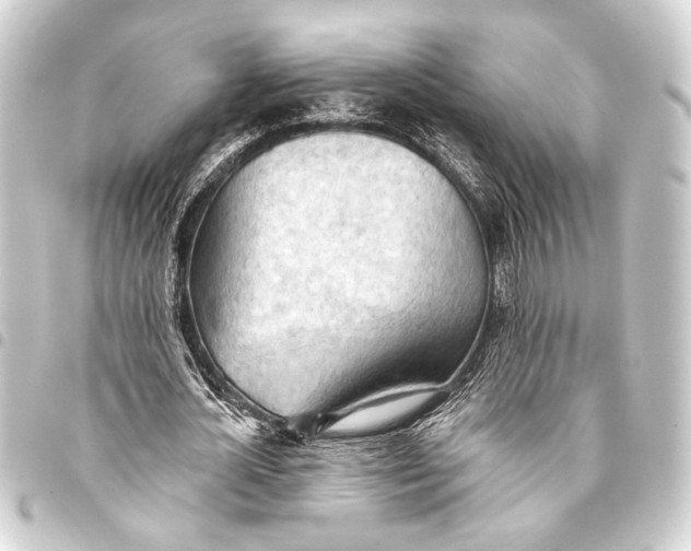 X0000093420724200711021014