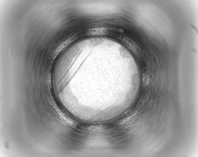 X0000093420725200711021014