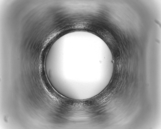 X0000093420728200711021014