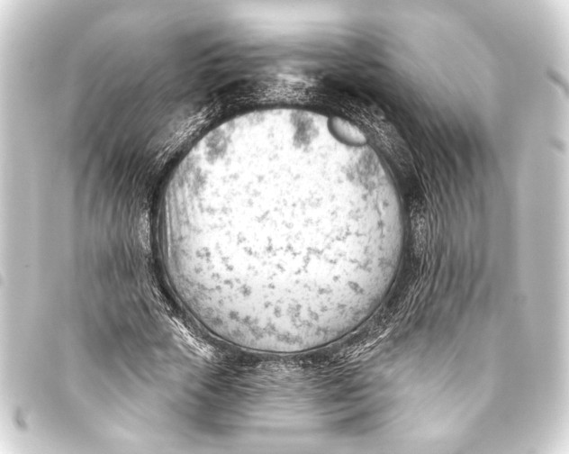 X0000093420729200711021014