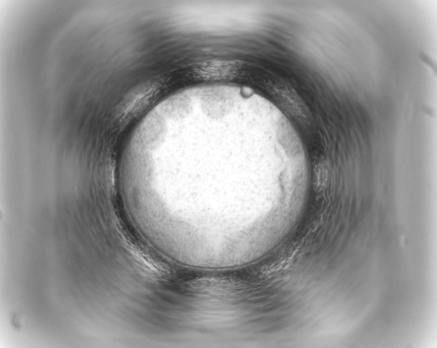 X0000093420733200711021014