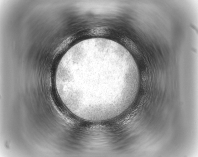 X0000093420734200711021014