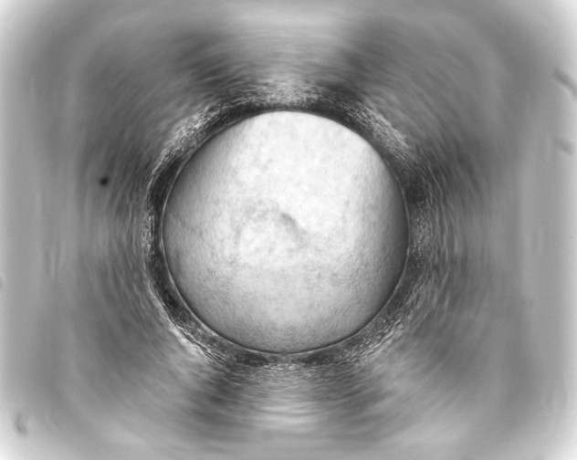 X0000093420736200711021014