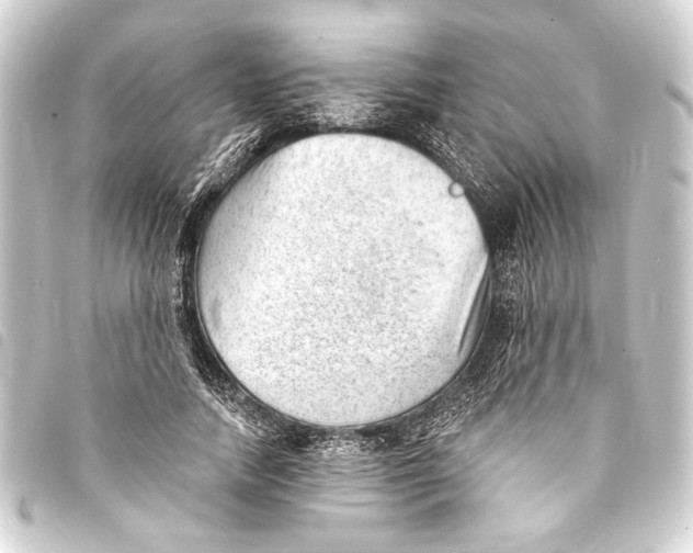 X0000093420738200711021014