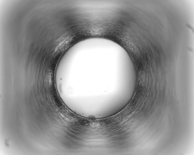 X0000093420740200711021014