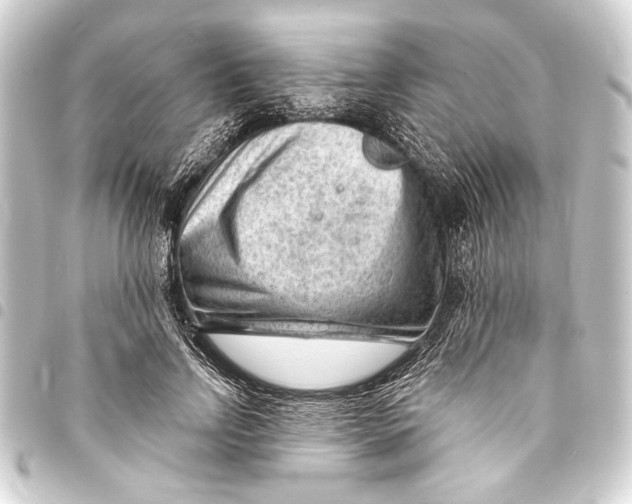 X0000093420742200711021014