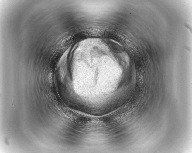 X0000093420745200711021014