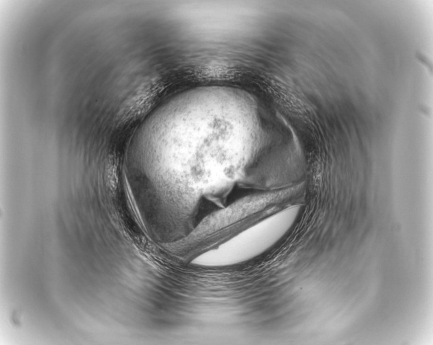 X0000093420746200711021014