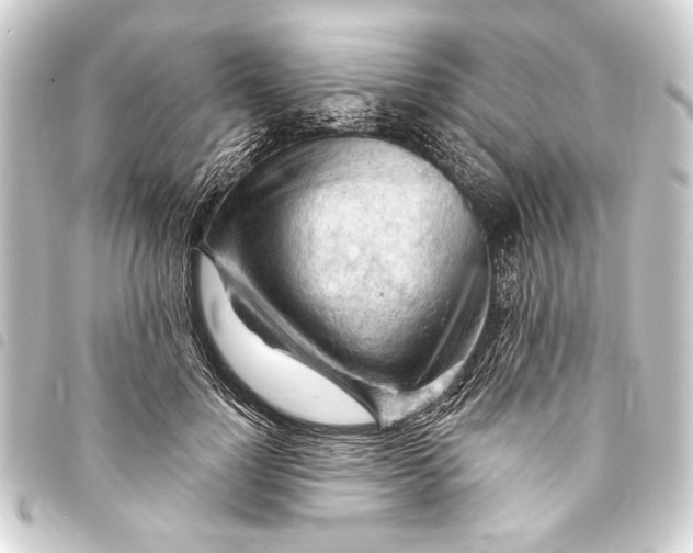 X0000093420748200711021014