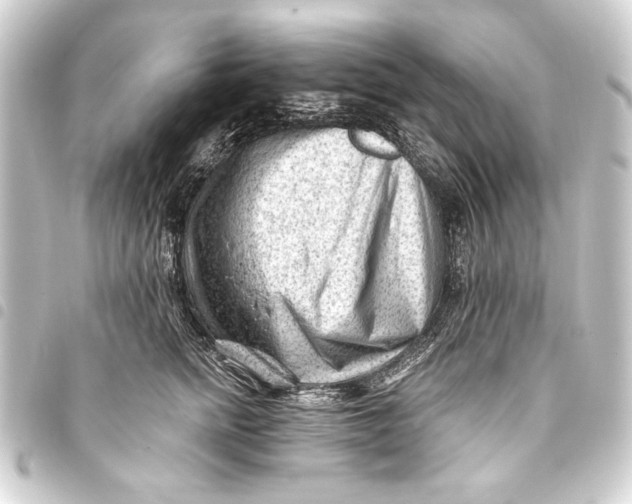 X0000093420758200711021015