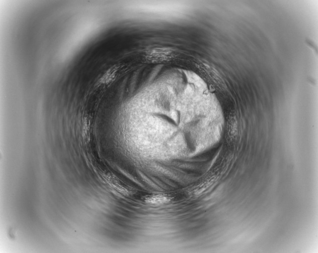 X0000093420759200711021015