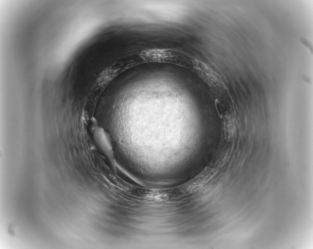 X0000093420760200711021015