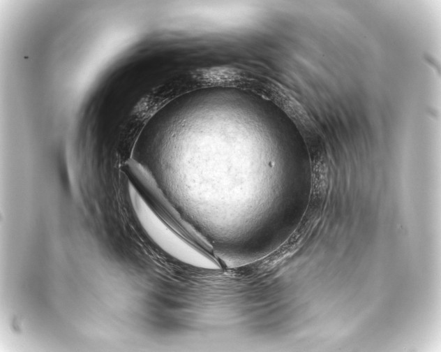 X0000093420762200711021015