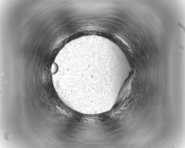 X0000093420775200711021014