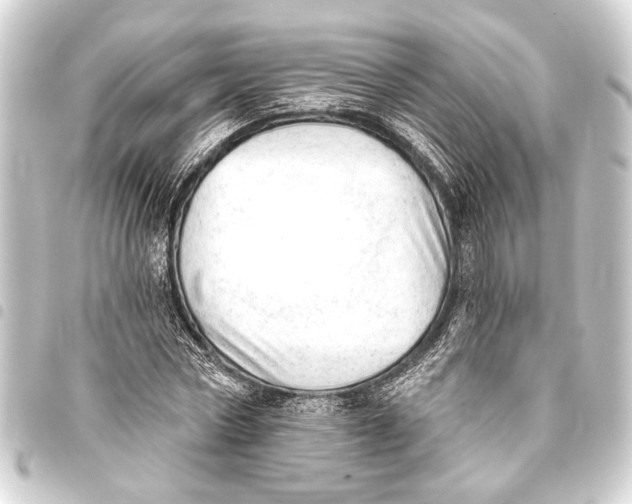 X0000093420778200711021014