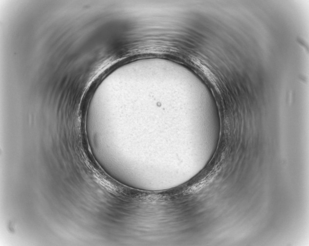 X0000093420779200711021014