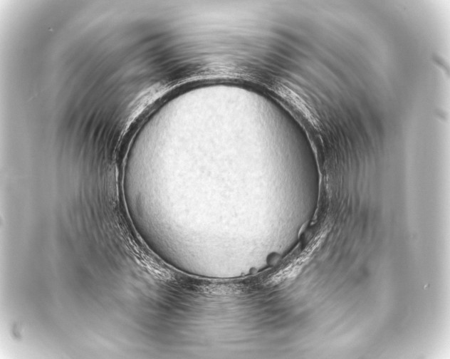 X0000093420781200711021014