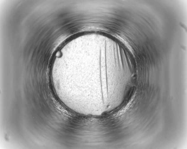 X0000093420783200711021014