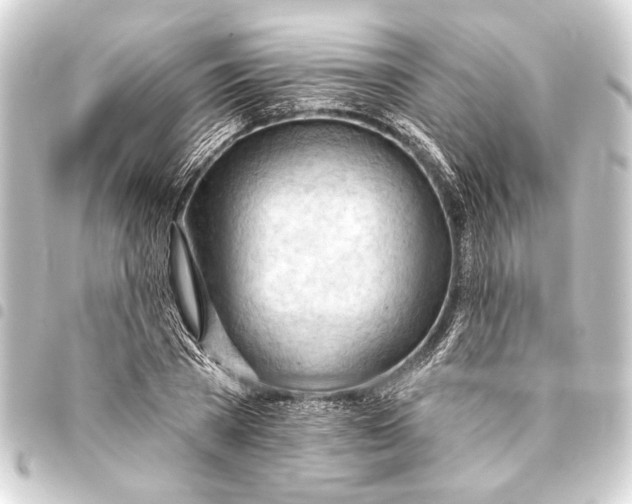 X0000093420785200711021014