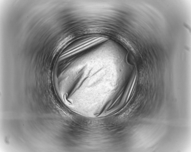 X0000093420786200711021014