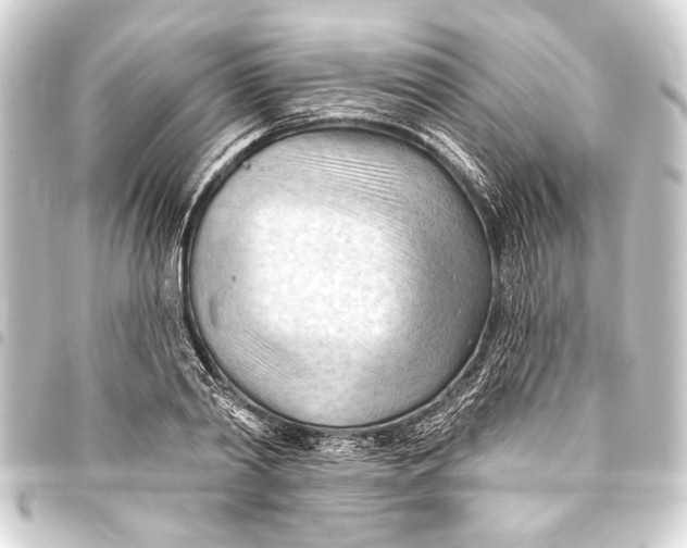 X0000093420790200711021014