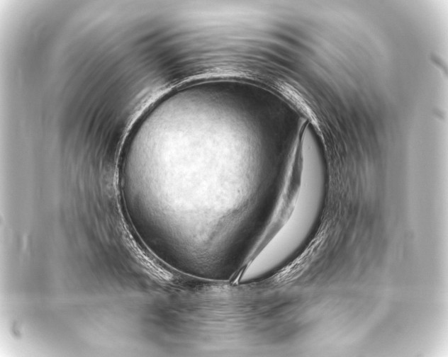 X0000093420797200711021013