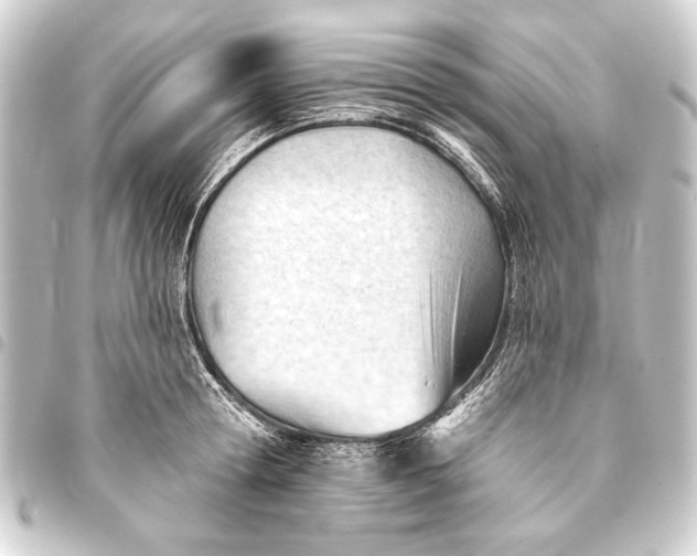 X0000093420802200711021013