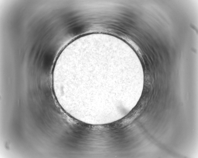 X0000093420807200711021013