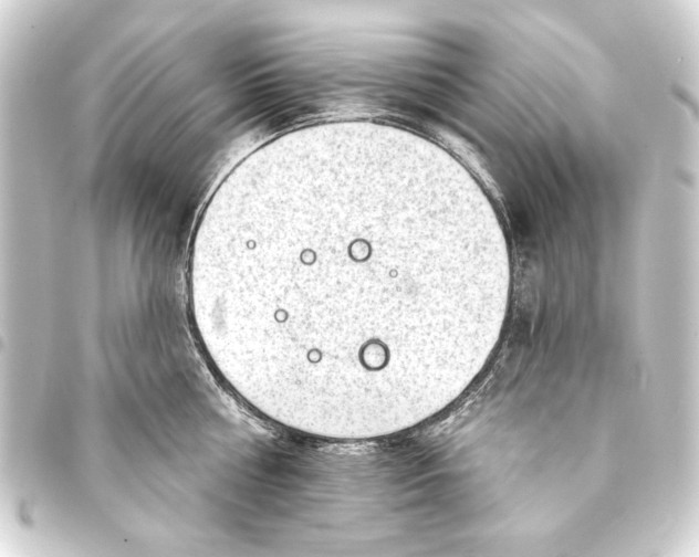 X0000093420810200711021013