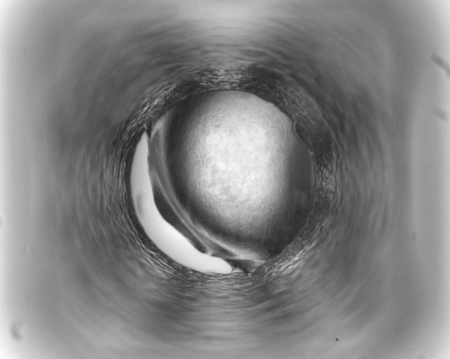 X0000093420818200711021013