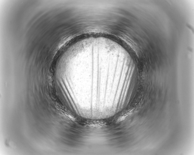 X0000093420823200711021013