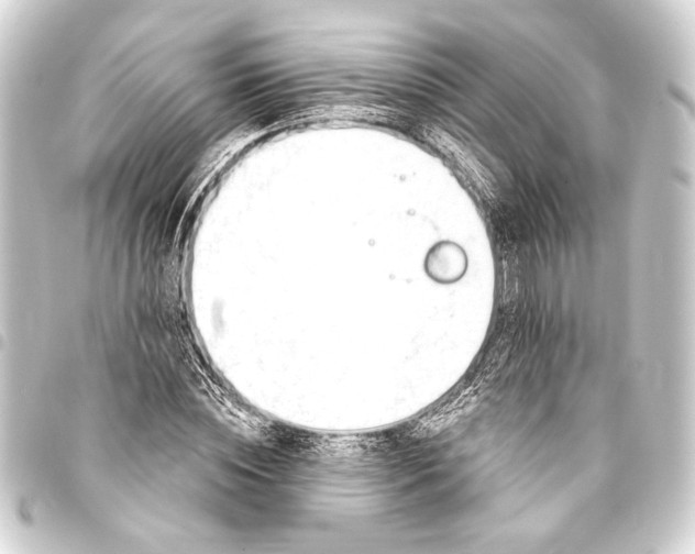 X0000093420828200711021013