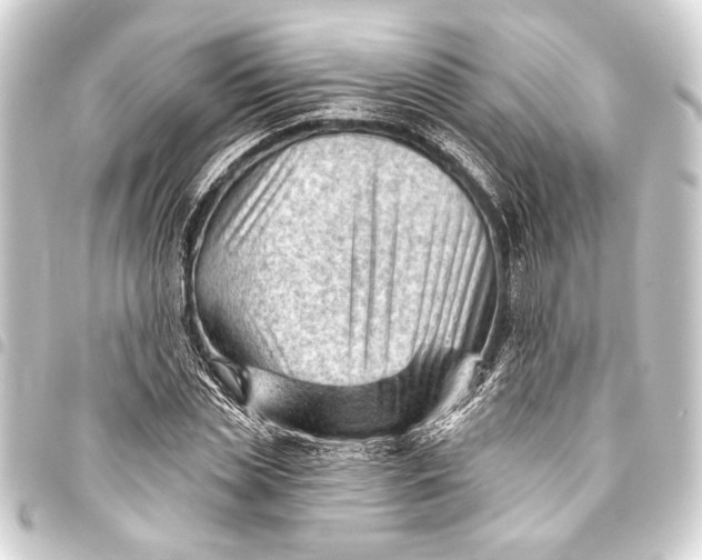 X0000093420829200711021013